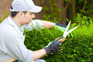 🌳 Gartenpflege / Gärtner Preise & Tipps im Überblick